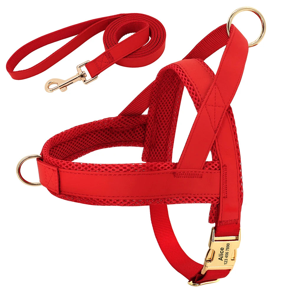 Personalized No Pull Dog Harness in Red (Harness & Leash)