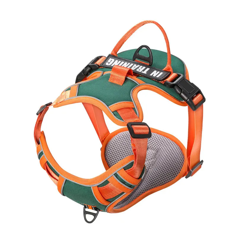 Personalized Dog Harness No Pull in Green Orange