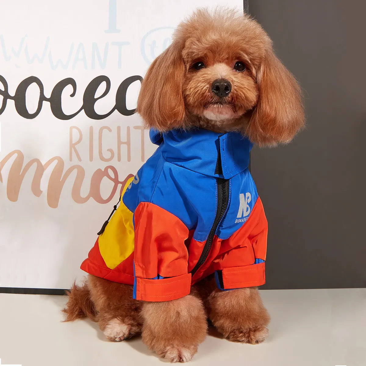 Windproof Dog Jacket
