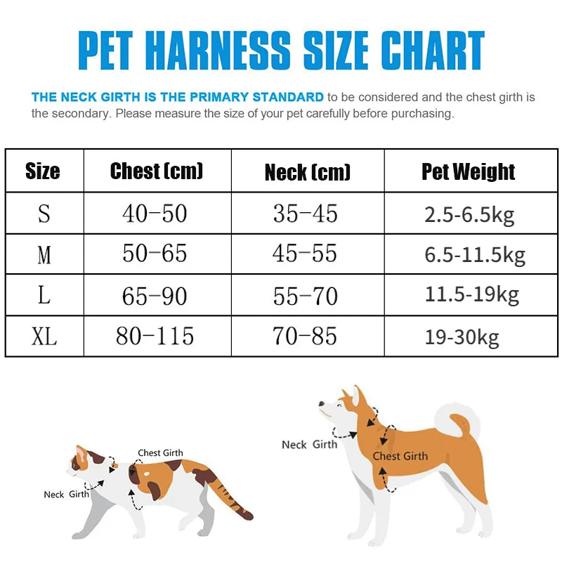 Personalized Dog Harness, photo 2