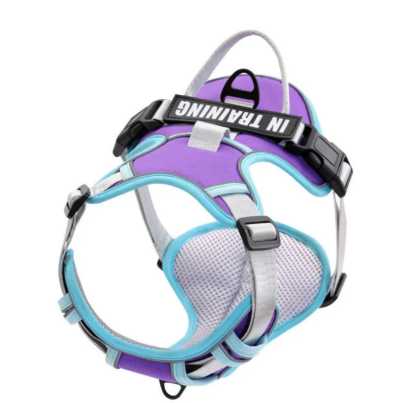 Personalized Dog Harness No Pull in Purple Blue