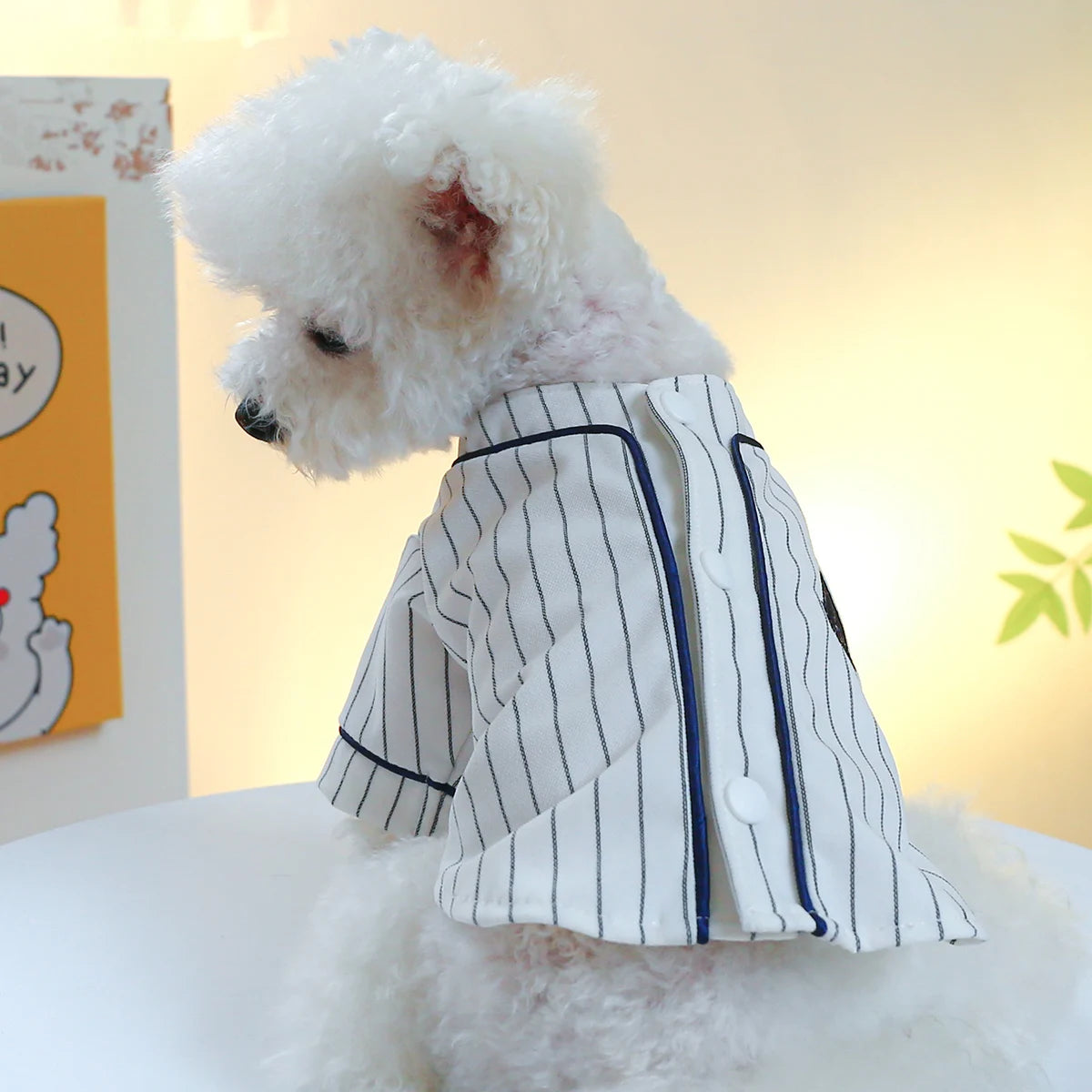 Small Dog Shirts