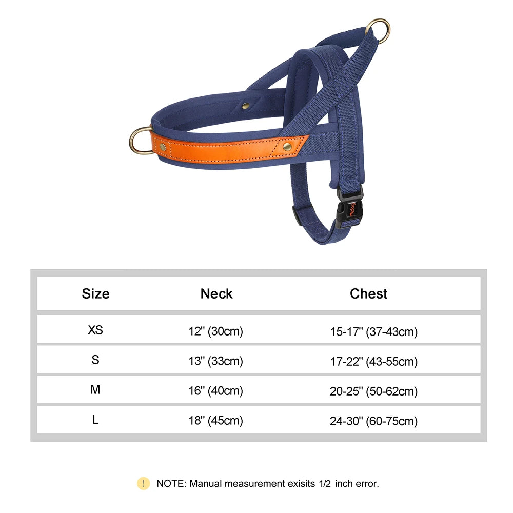 No Pull Dog Harness in DeepBlue