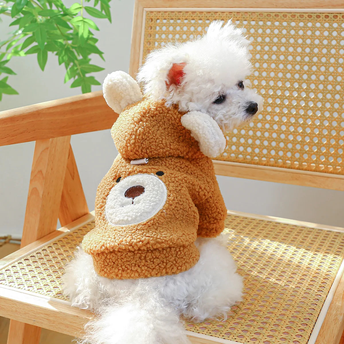 Teddy Bear Hoodie