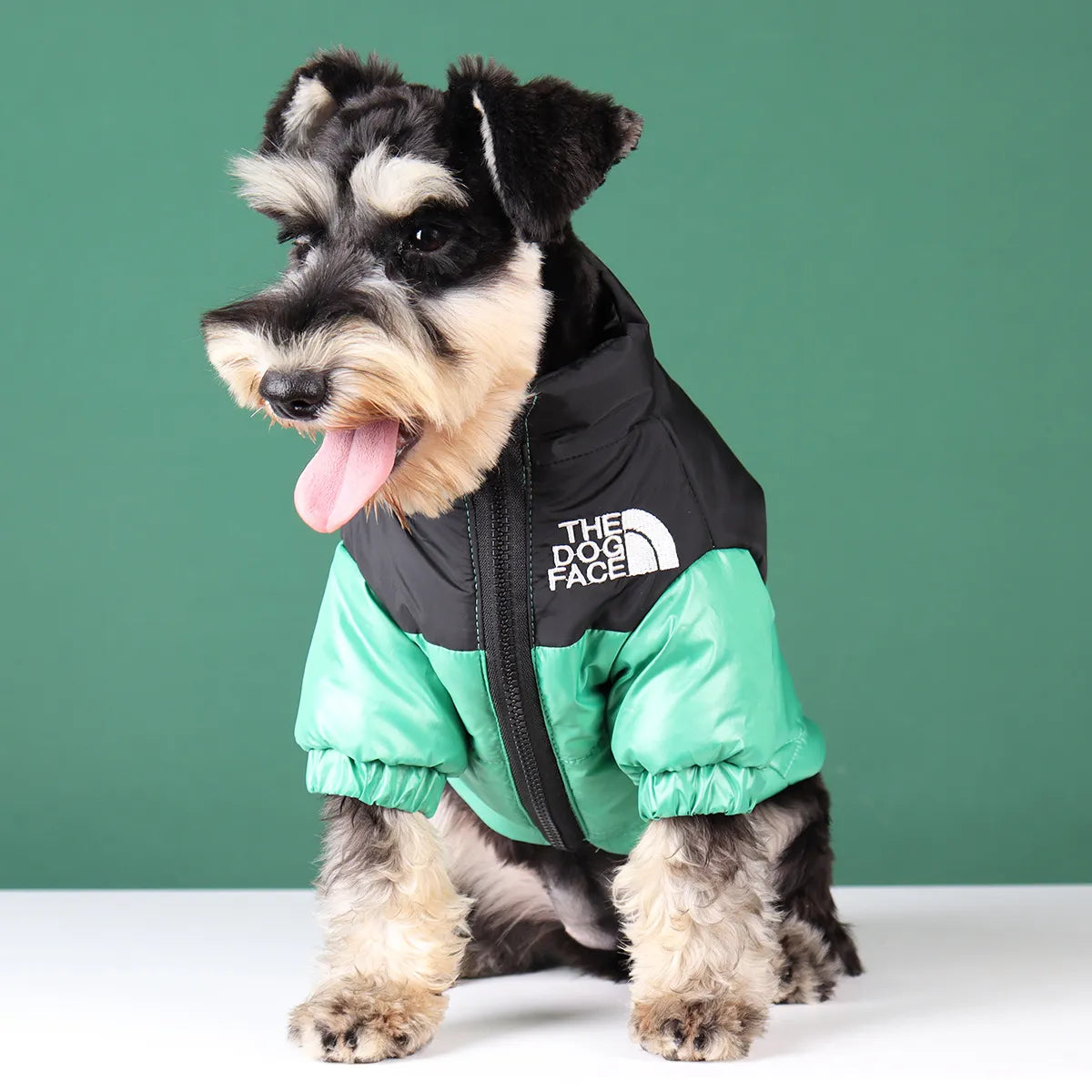 Dog Winter Coat Tex