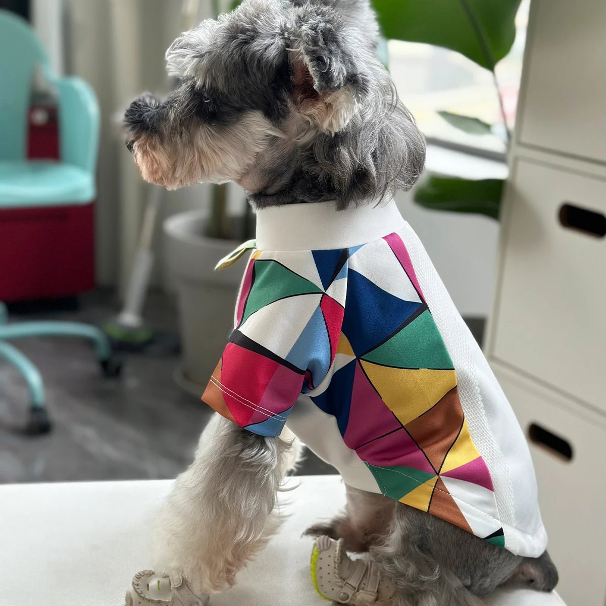 Small Dog T Shirts in Multi Color