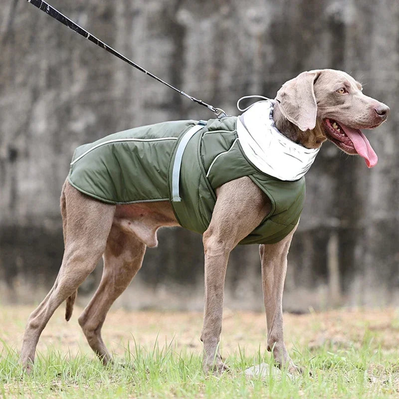 Waterproof Dog Jacket