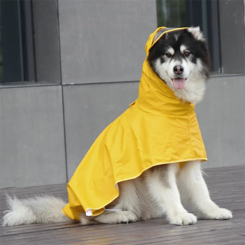 Impermeable Big Dog Raincoat