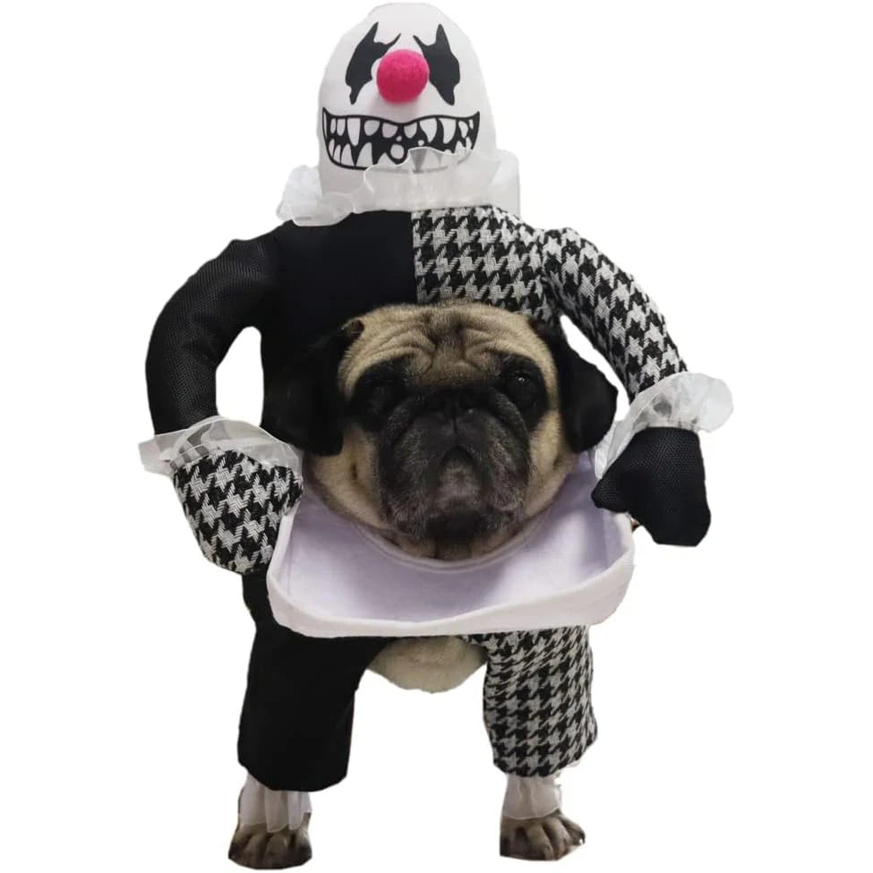 Small Dog Halloween Costumes