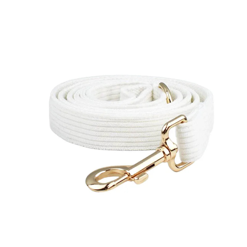 White Dog Harness in Dog leash
