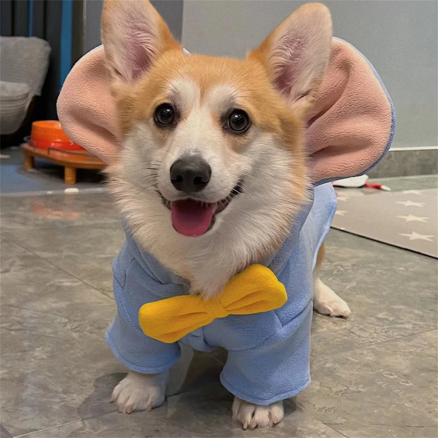 Season: Suitable for all seasons, your dog can rock this costume at any time of the year, whether it's for a Halloween party or just a fun day out.