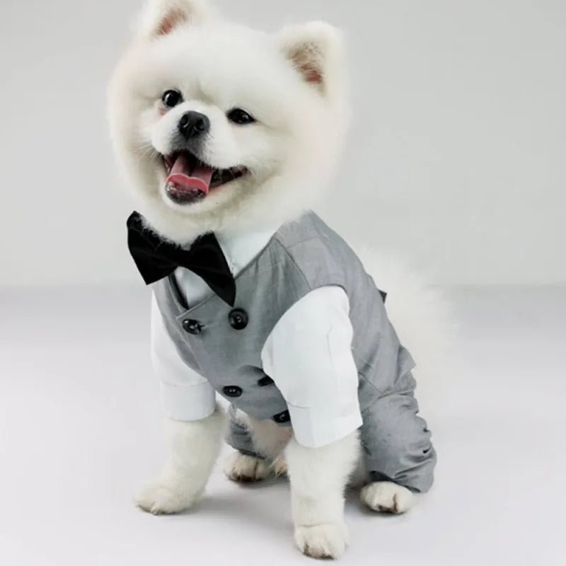 Dog Wedding Clothes