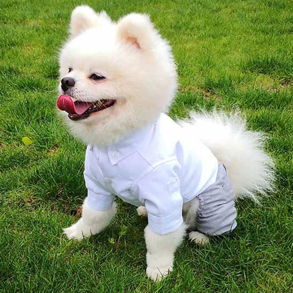 Dog Wedding Clothes