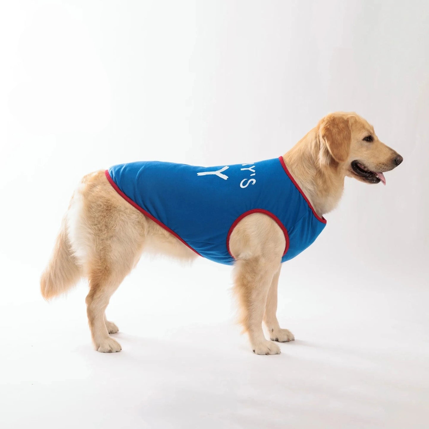 Cute Dog Shirts
