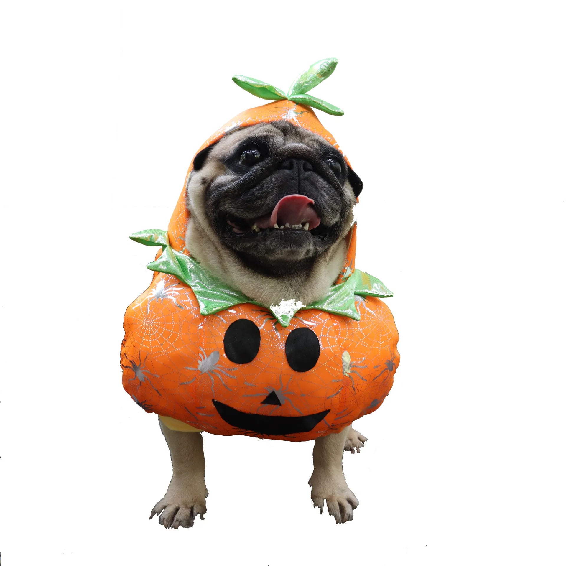 Dog Pumpkin Costume