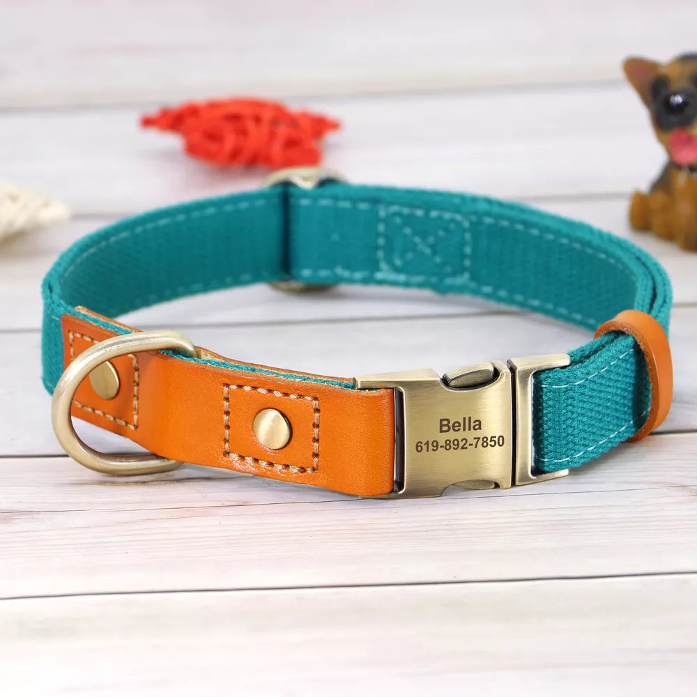 Personalized Adjustable Dog Collars in Blue