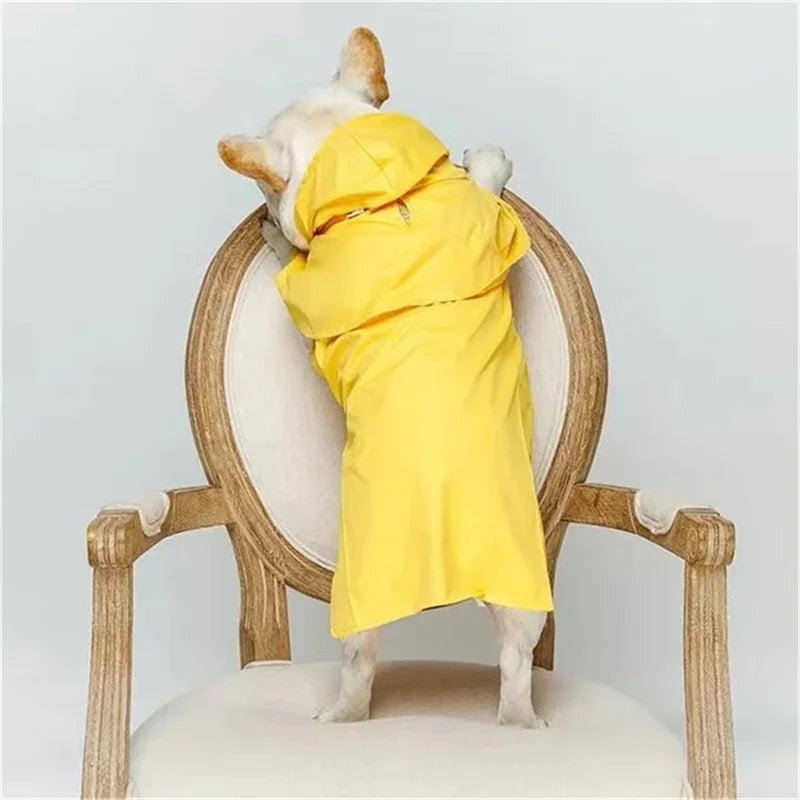 Impermeable Big Dog Raincoat