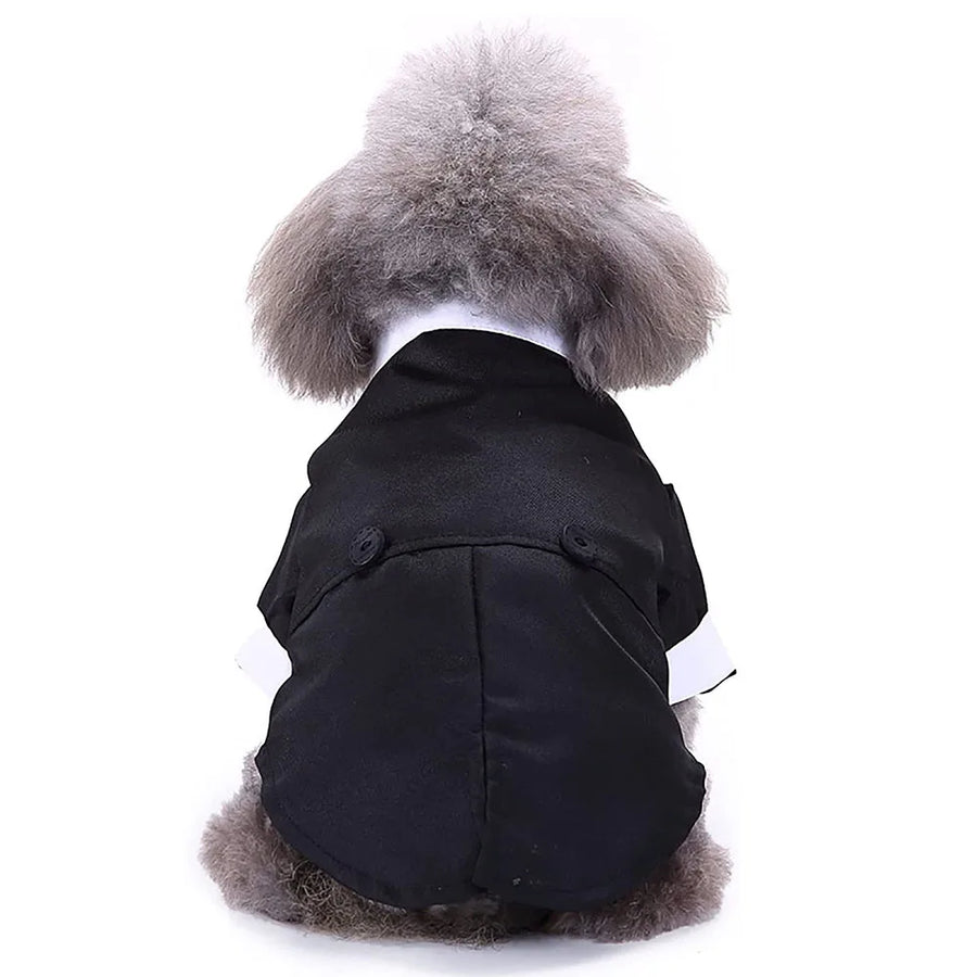 Pattern: Stylish Solid design to ensure your pup stands out from the crowd.