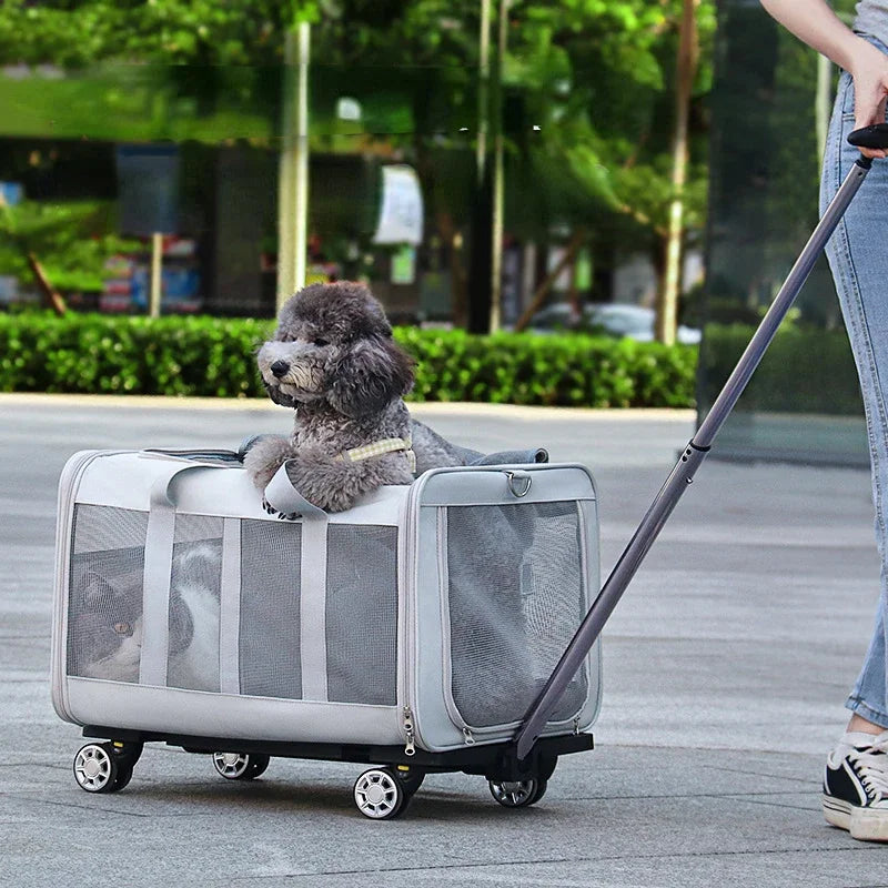 Specifically designed for dogs with a fitable weight of 17.5kg