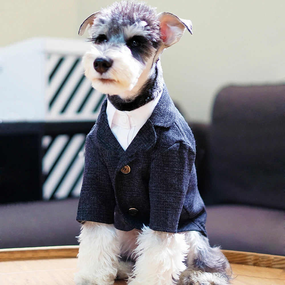 Dog Clothes Wedding, photo 4