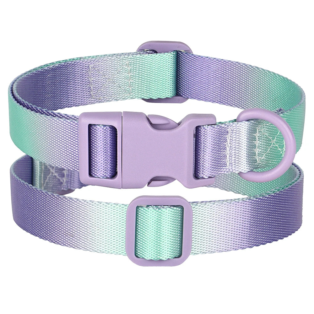 Cute Dog Collar