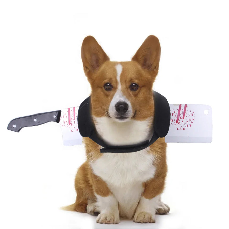 Funny and creative pet outfit