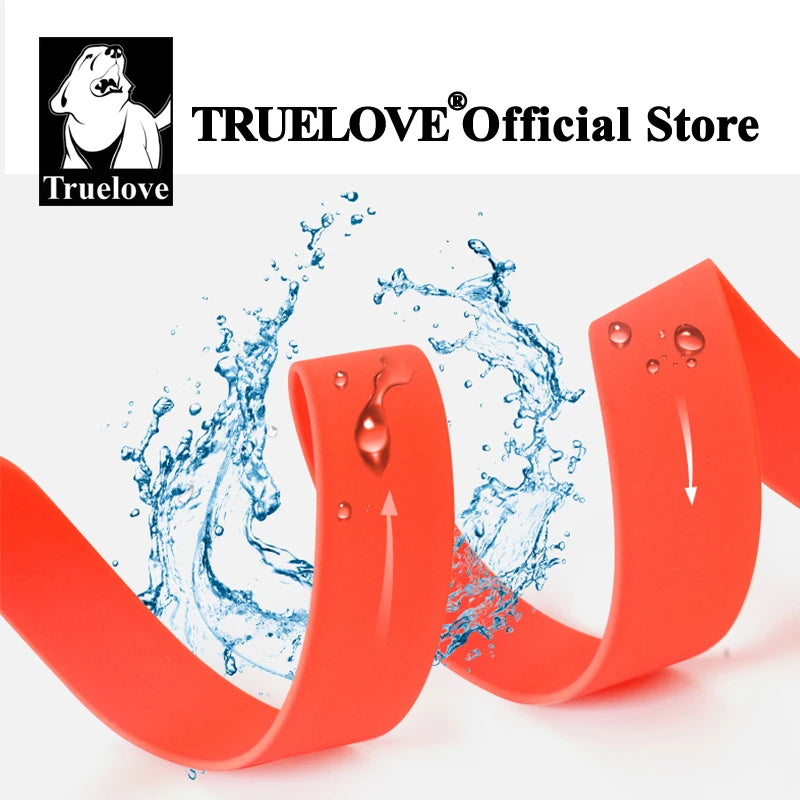 Neon Color Dog Leash