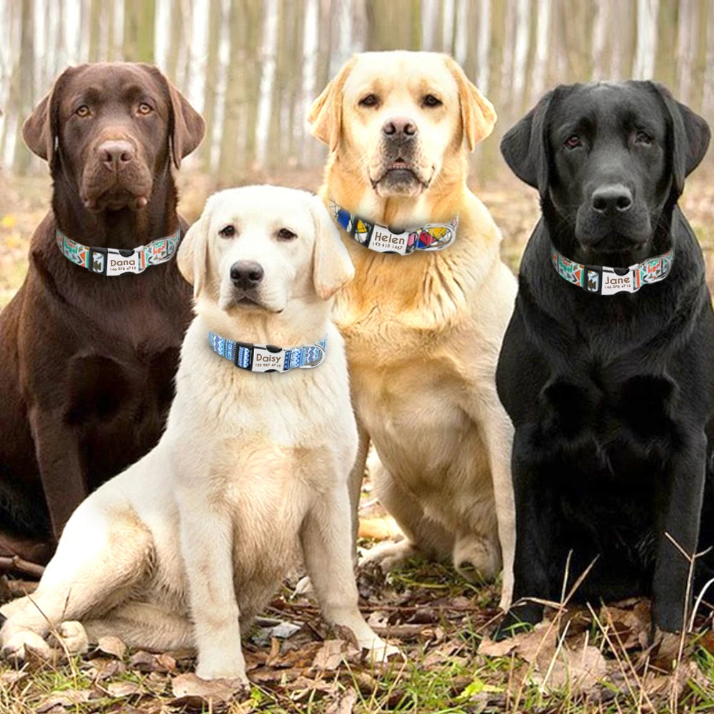 Personalized Nylon Dog Collar