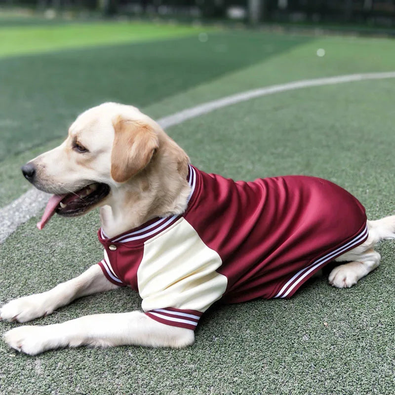 Dog Baseball Shirt in Red