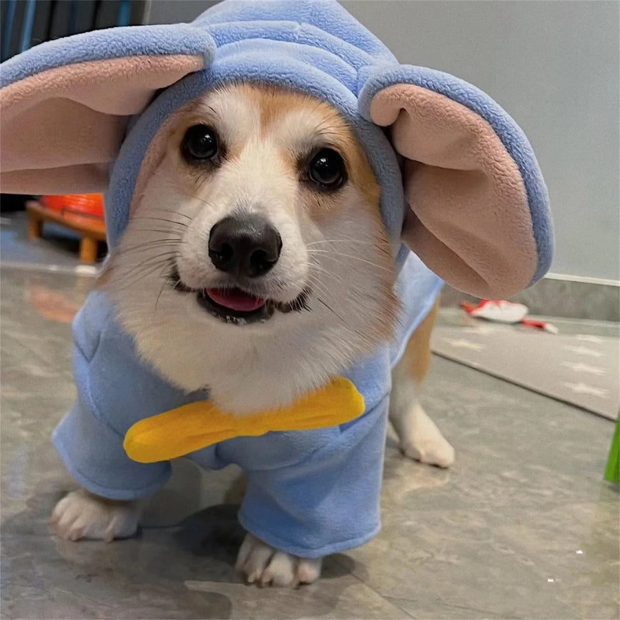 Type: Designed specifically for dogs, this costume perfectly captures the essence of an elephant, adding a touch of whimsy to your dog's personality.