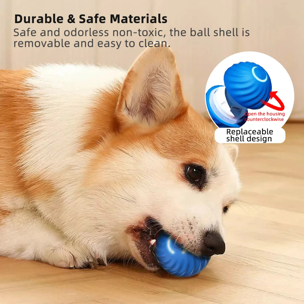 Dog Smart Ball