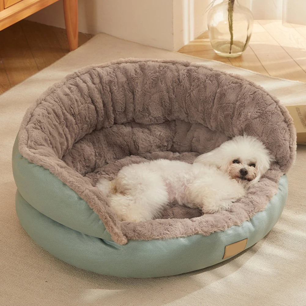 Cute Small Dog Beds