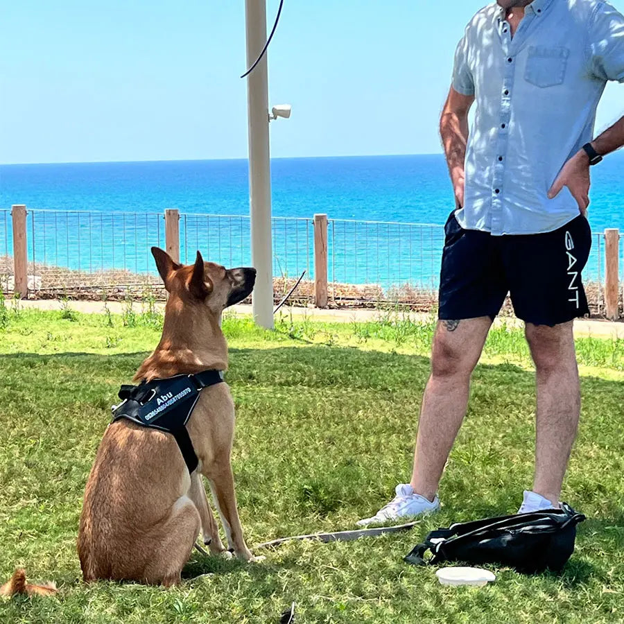 Heavy Duty Dog Harness, photo 5