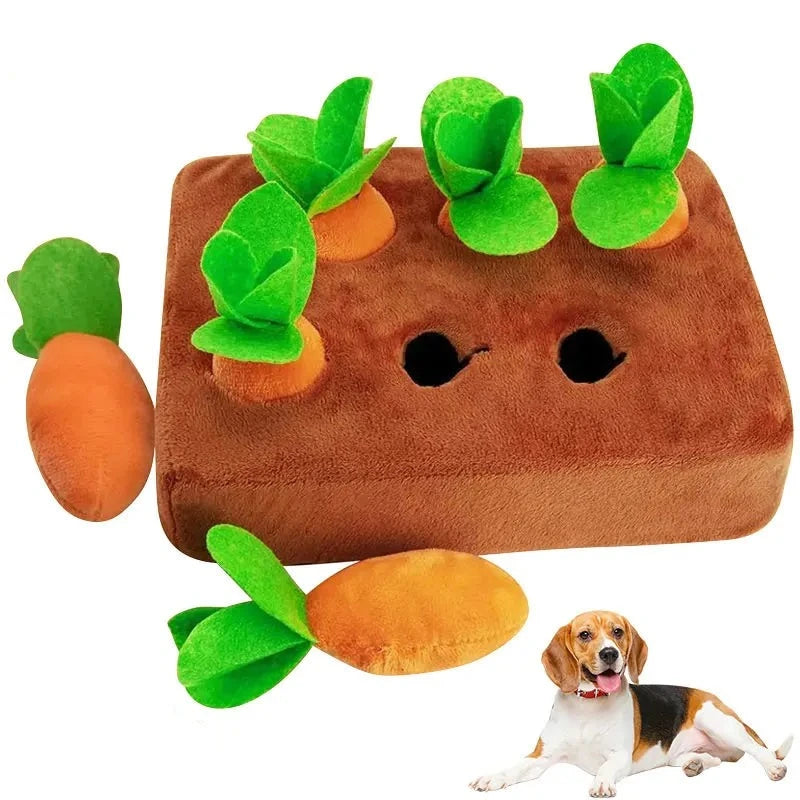 Carrot Snuffle Mat For Dogs