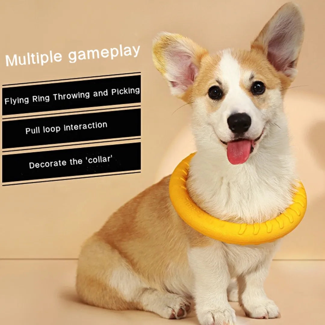 Dog Ring Toy