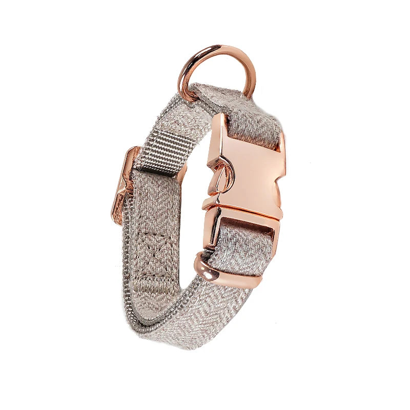 Metal Buckle Dog Collar in White