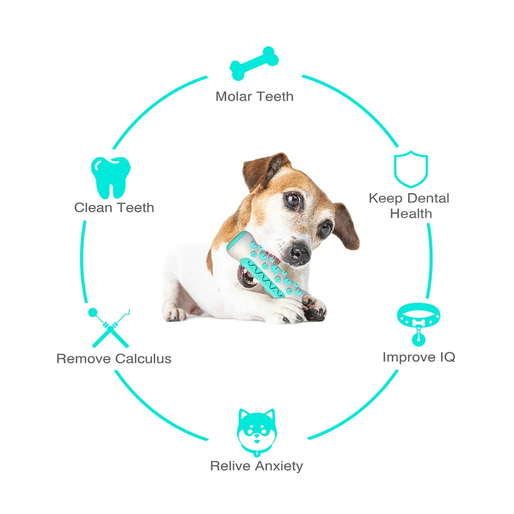 Best Chew Toys For Dogs