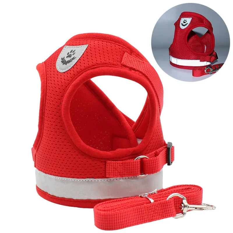 Blue Dog Harness in Red