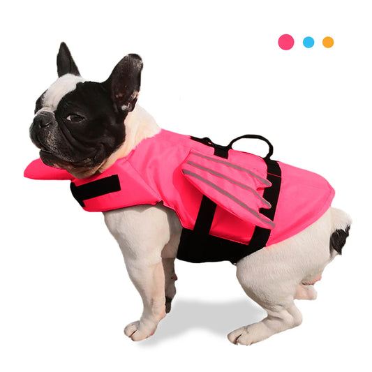 Life Jacket Dog