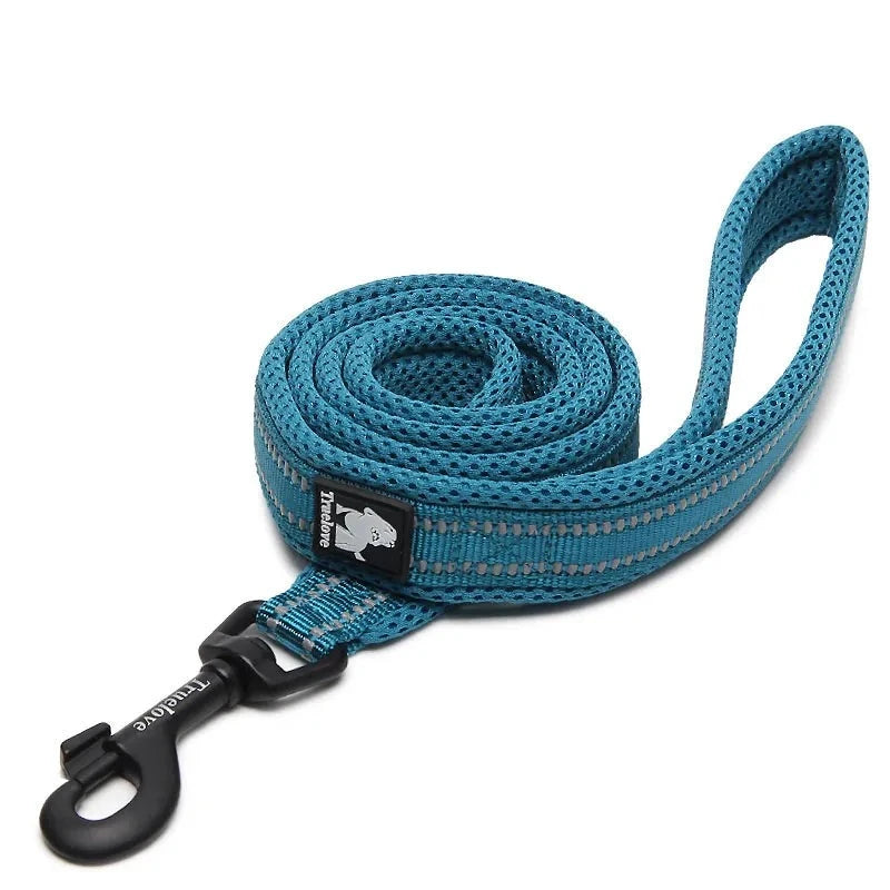 Reflective Dog Leash in Blue
