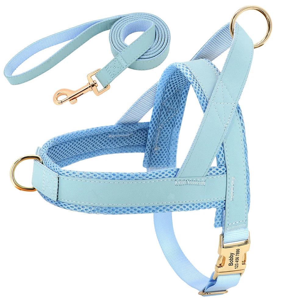 Personalized No Pull Dog Harness in Blue (Harness & Leash)