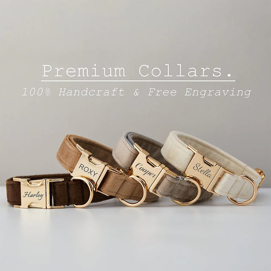 Personalized Cute Dog Collar