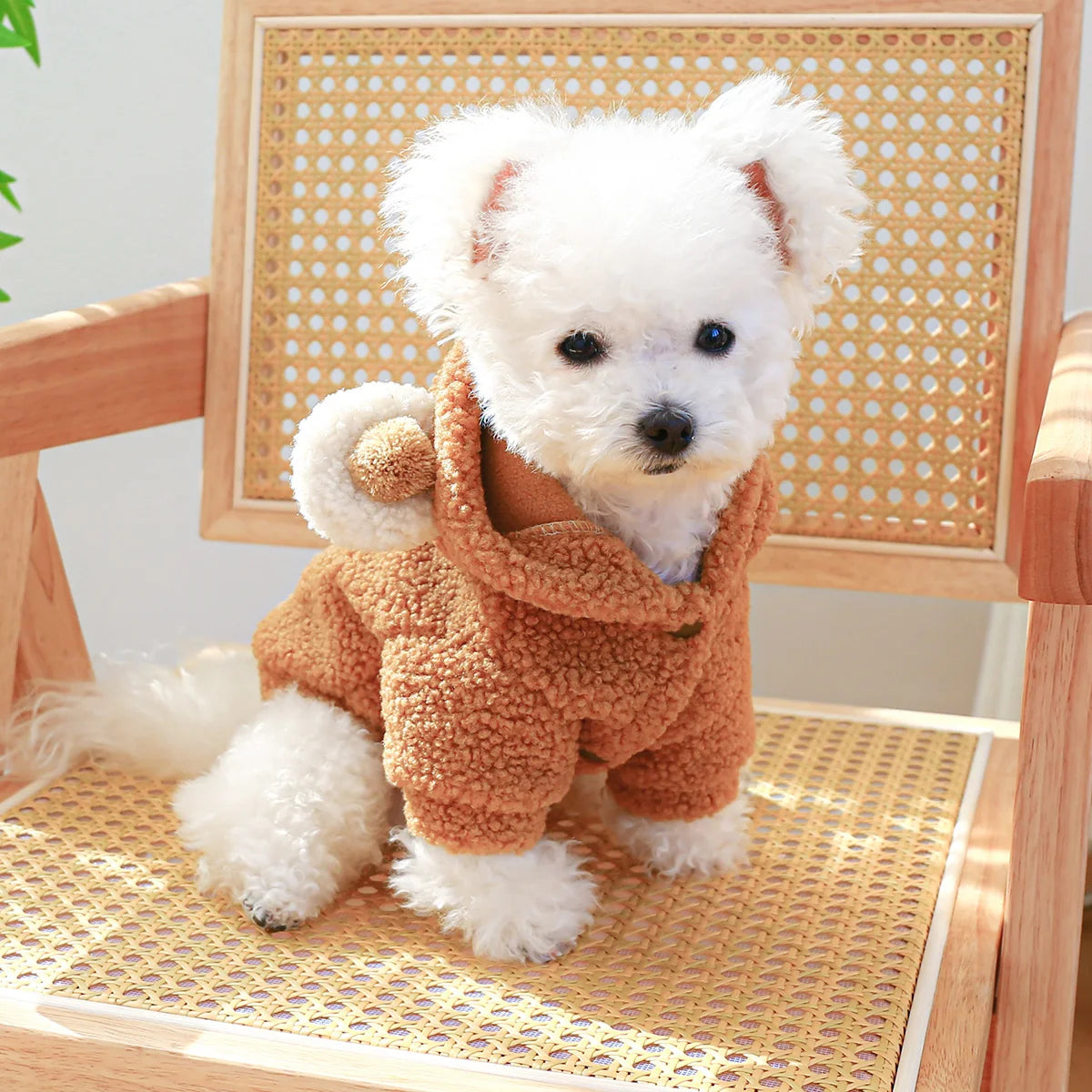 Teddy Bear Hoodie