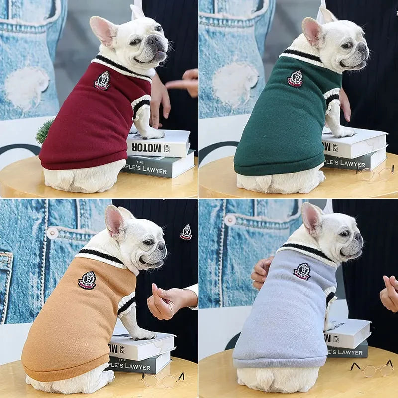 Dog Sweater Dog