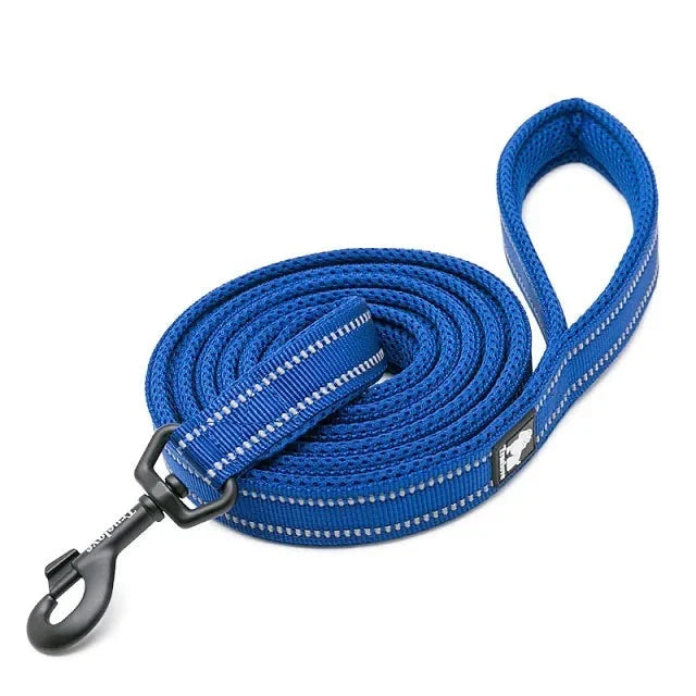 Reflective Dog Leash in Royal Blue