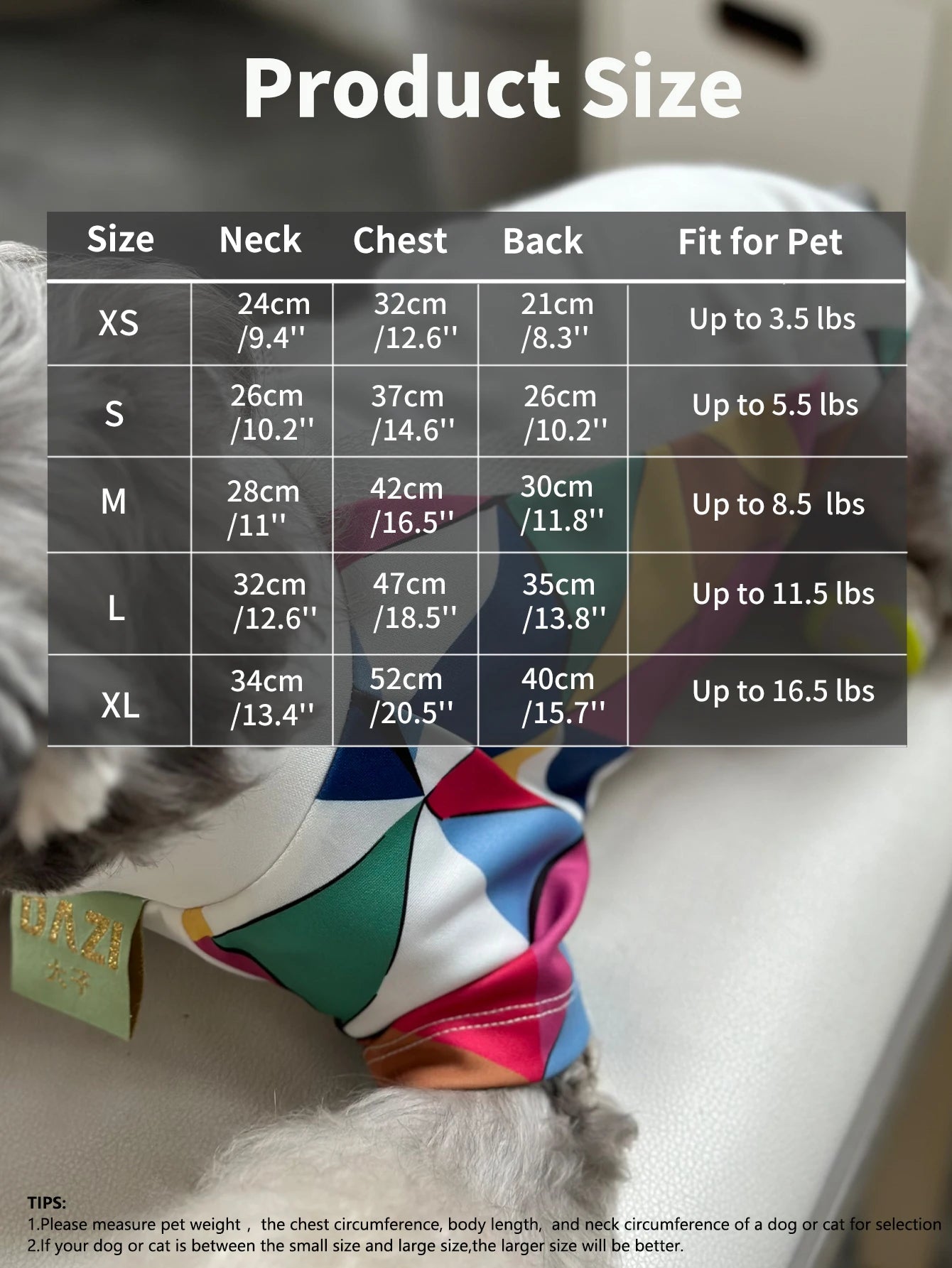 Small Dog T Shirts