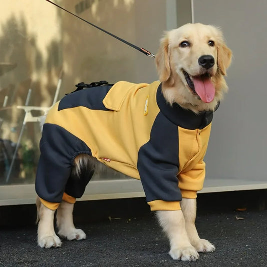 Winter Dog Coats