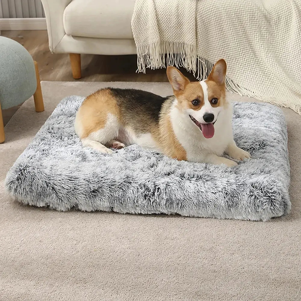 Plush Dog Bed