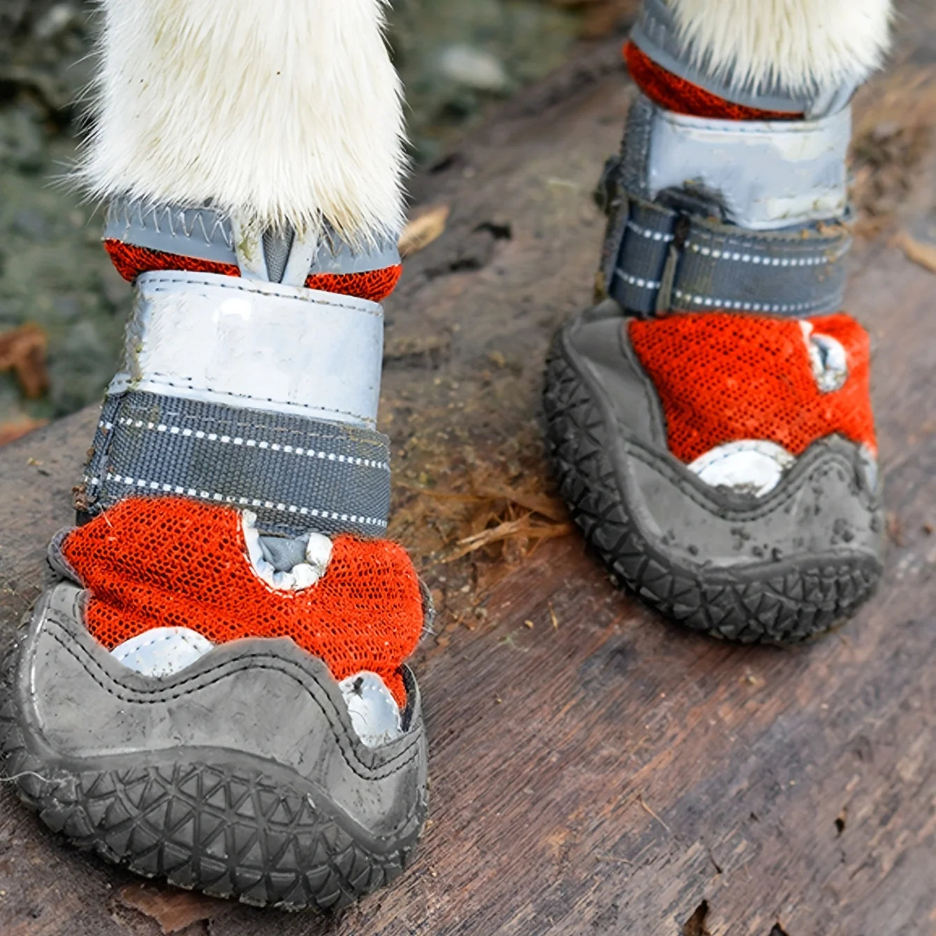 Snow Booties For Dogs