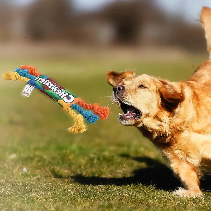 Durable Braided Dog Toys